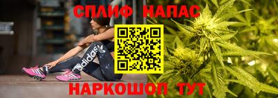 apvp Новодвинск