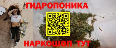 2c-b Новозыбков