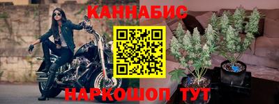 apvp Новодвинск