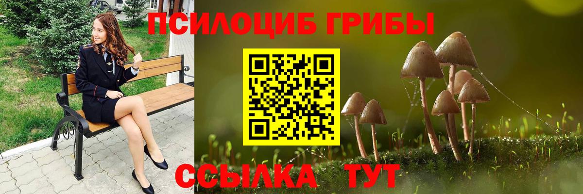 Урус-Мартан  где можно купить   Галлюциногенные грибы Psilocybe  Вход с VPN  Псилоцибиновые грибы прущие грибы 